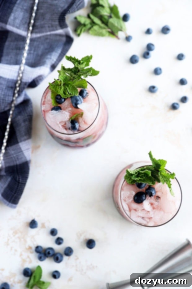Overhead shot of a Blueberry Mint Julep, showcasing fresh blueberries and mint leaves.