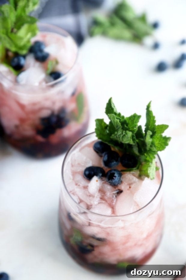Two Blueberry Mint Julep cocktails in elegant glasses, ready to be served.