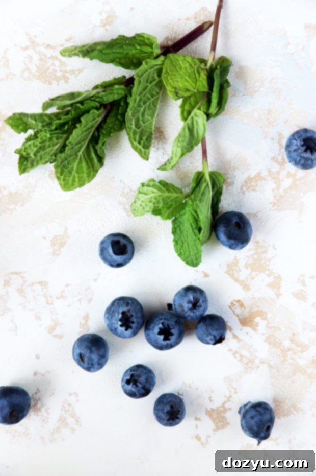 Fresh blueberries and vibrant mint leaves, essential ingredients for a Blueberry Mint Julep.