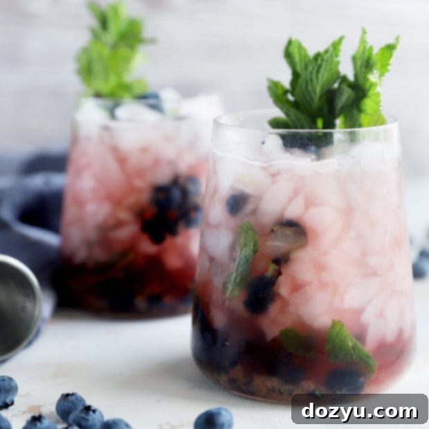 A chilled glass of Blueberry Mint Julep with fresh garnishes.