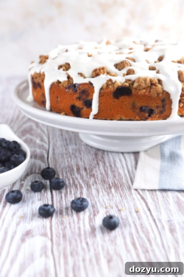 A beautifully baked Blueberry Lemon Streusel Coffee Cake on a cake stand, with a side view showing the thick streusel layer and golden-brown crust. It's ready to be sliced and served.