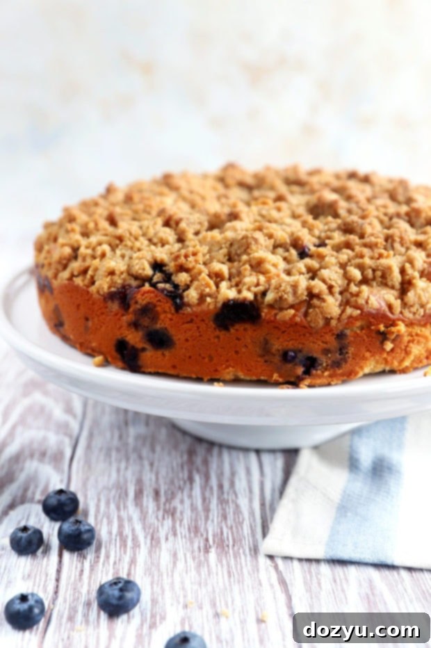Blueberry Lemon Streusel Coffee Cake, with a clear view of the streusel topping being sprinkled over the batter in a springform pan, ready for baking.