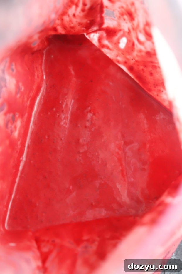 Blackberry marinade in bag photo