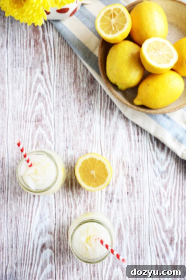 Overhead view of two glasses of vodka lemonade with lemon and mint garnish