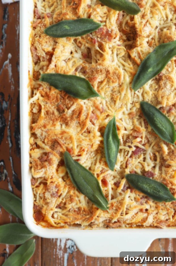 Overhead photo of baked fettuccine with butternut squash