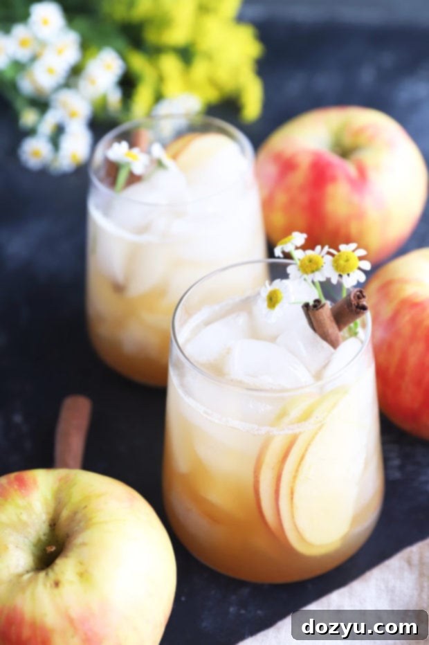 Apple fall cocktails in glasses photo