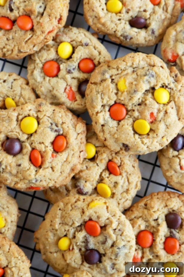 Overhead photo of peanut butter oatmeal chocolate chip cookies