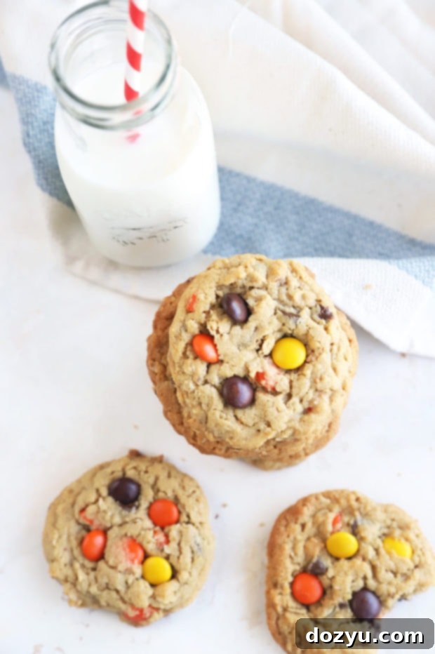 Stack of oatmeal cookies image