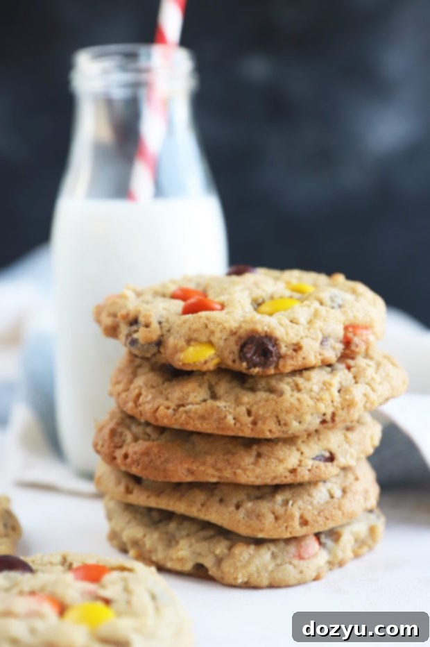 Side photo of oatmeal cookies