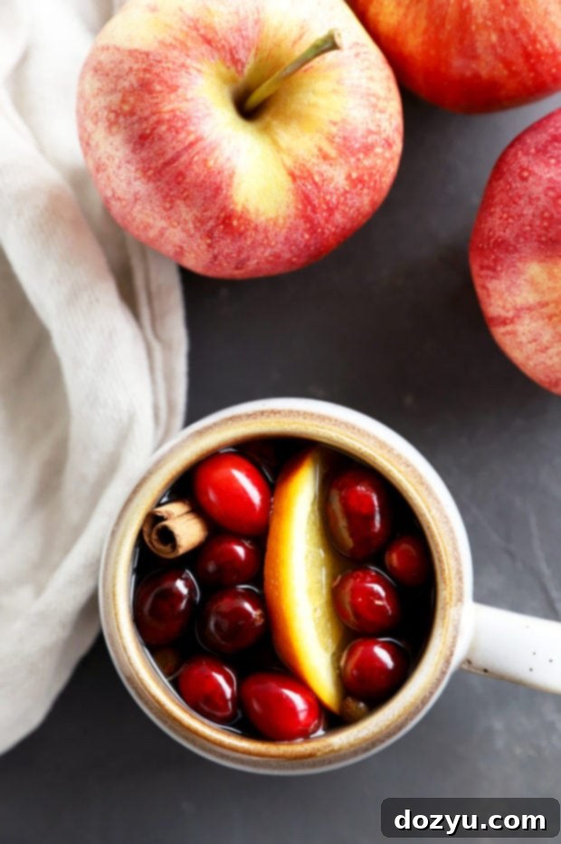 Warm Spiced Apple Cider 4 Close-up image of hot mulled cider in a rustic mug with cranberries and a cinnamon stick