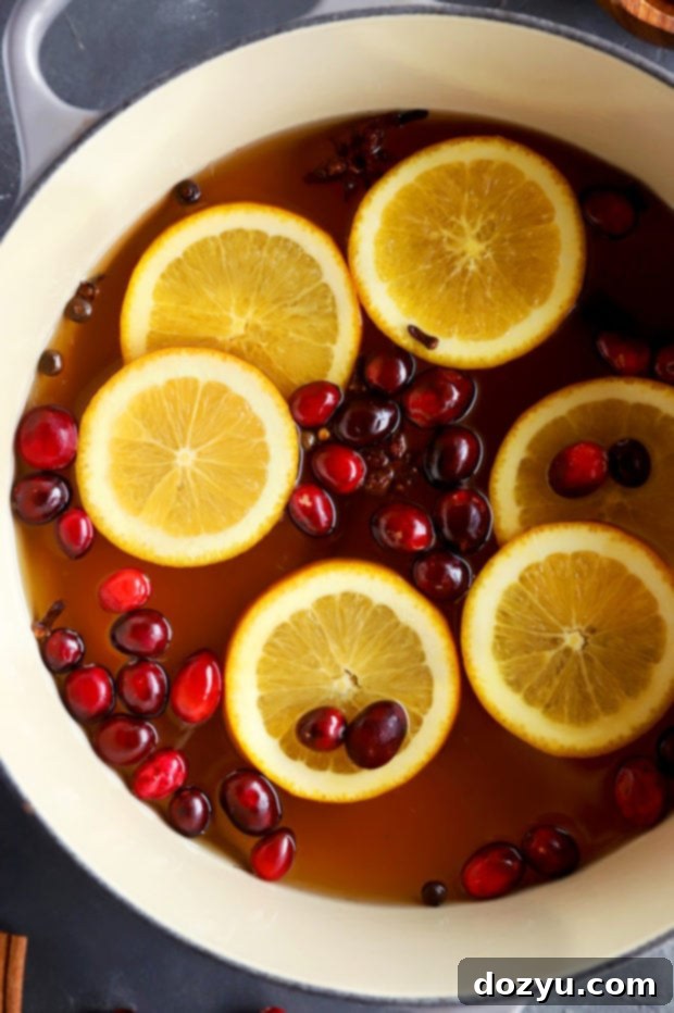 Warm Spiced Apple Cider 7 Image of spiced apple cider simmering in a stockpot on the stove