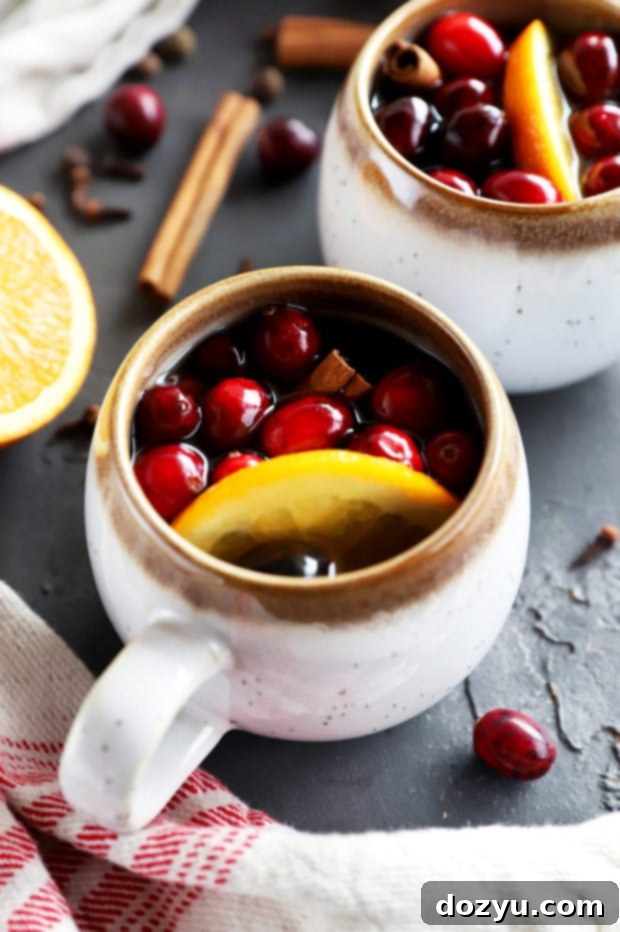 Warm Spiced Apple Cider 8 Cranberries and hot mulled cider in a mug, ready to be enjoyed