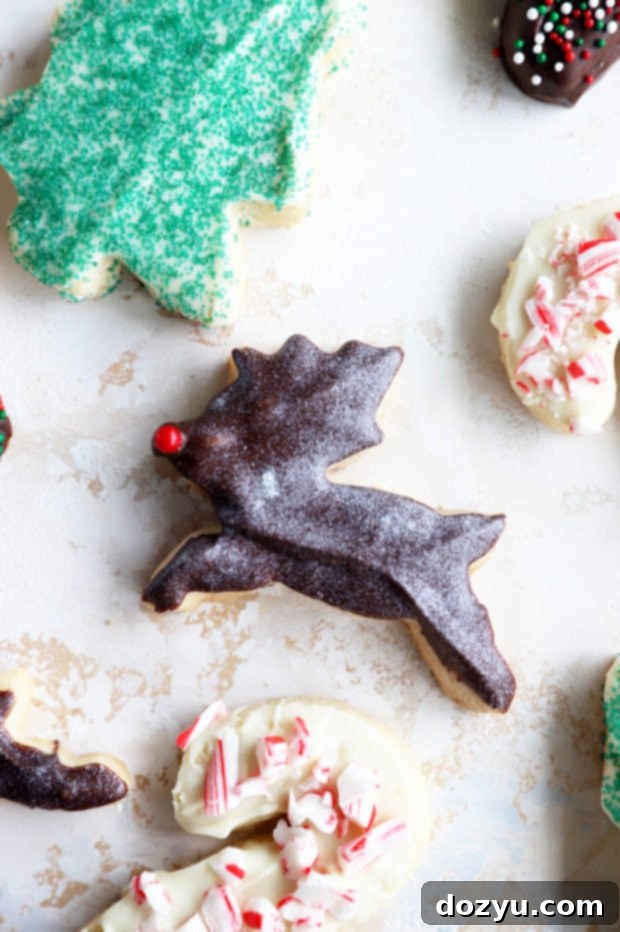 Close-up image of beautifully crafted Christmas shortbread cookies