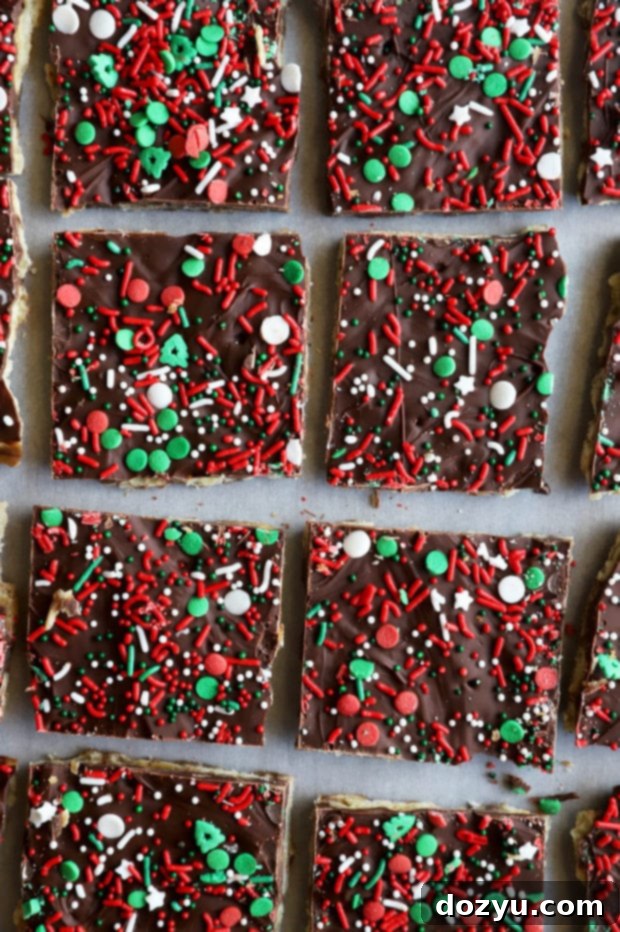 Overhead image of Christmas chocolate dessert, showing mini chocolate chips melting on baked gingerbread toffee crackers.