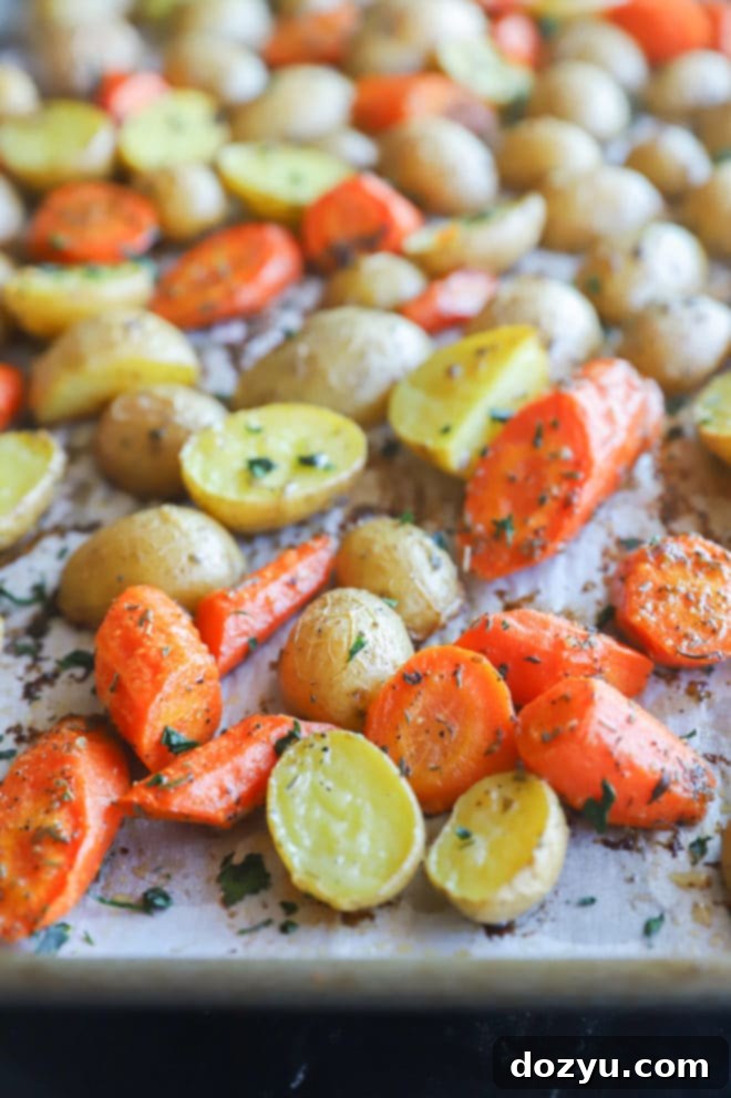 Golden Garlic Butter Roasted Carrots and Potatoes 5 A sheet pan filled with perfectly roasted carrots and potatoes, golden and tender, fresh out of the oven.