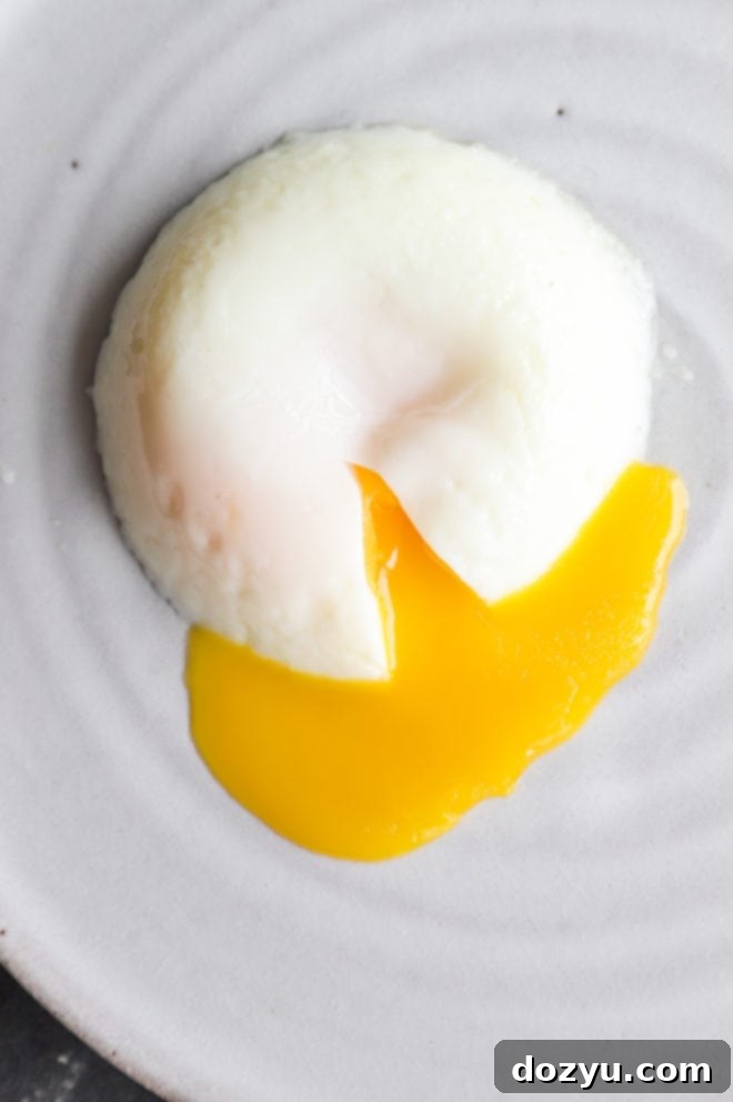 Poached egg on a plate image