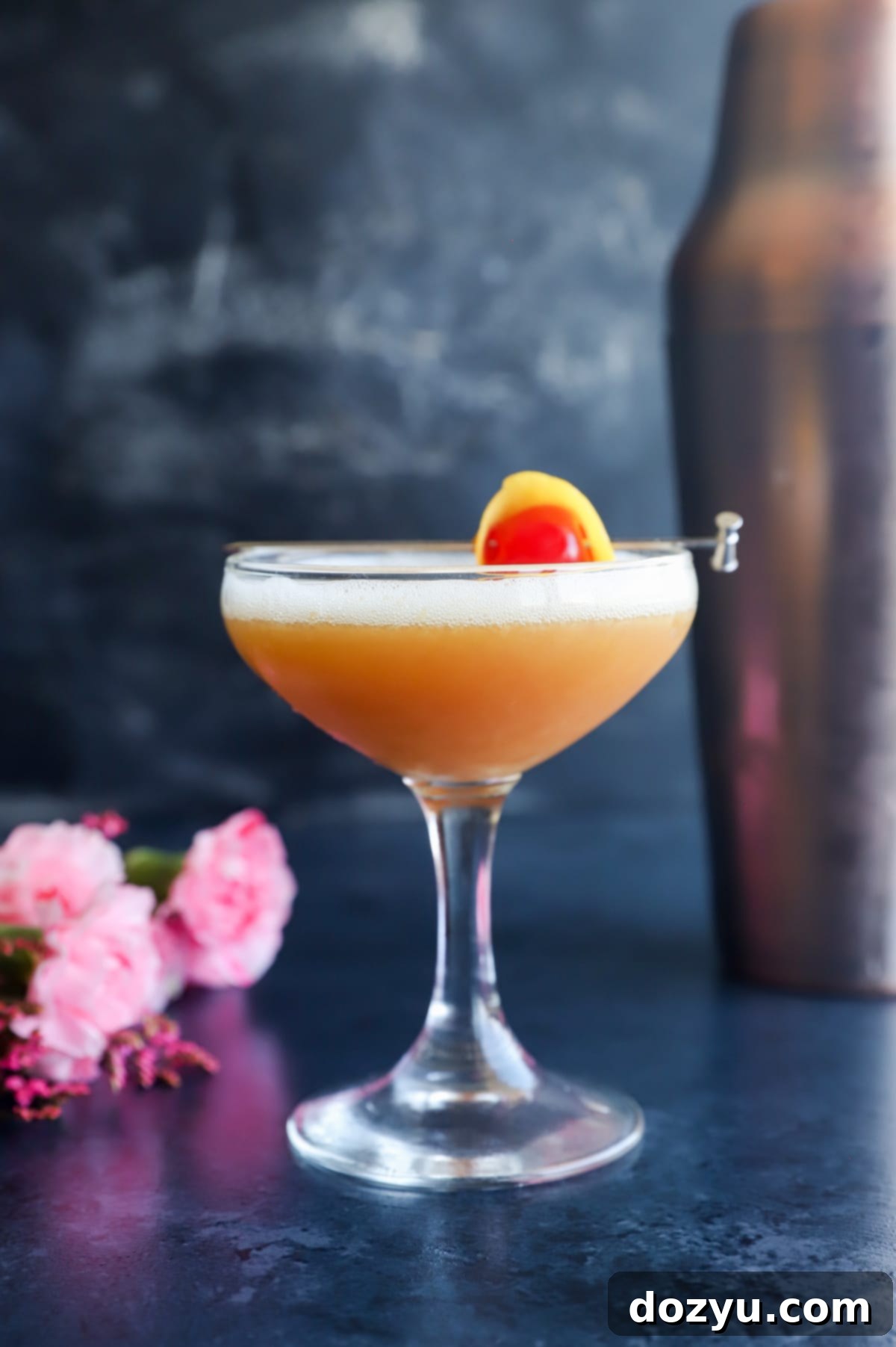 Boston's Spirited Zest 8 A close-up of a Boston Sour cocktail, showcasing the beautiful foam and cherry garnish.