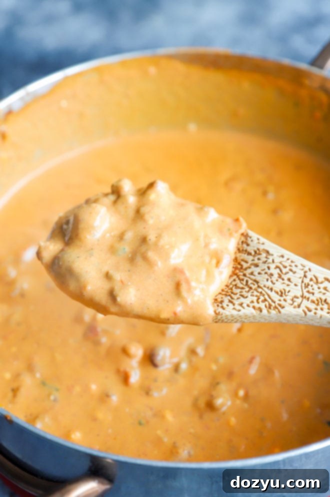 spoon with chili cheese dip image
