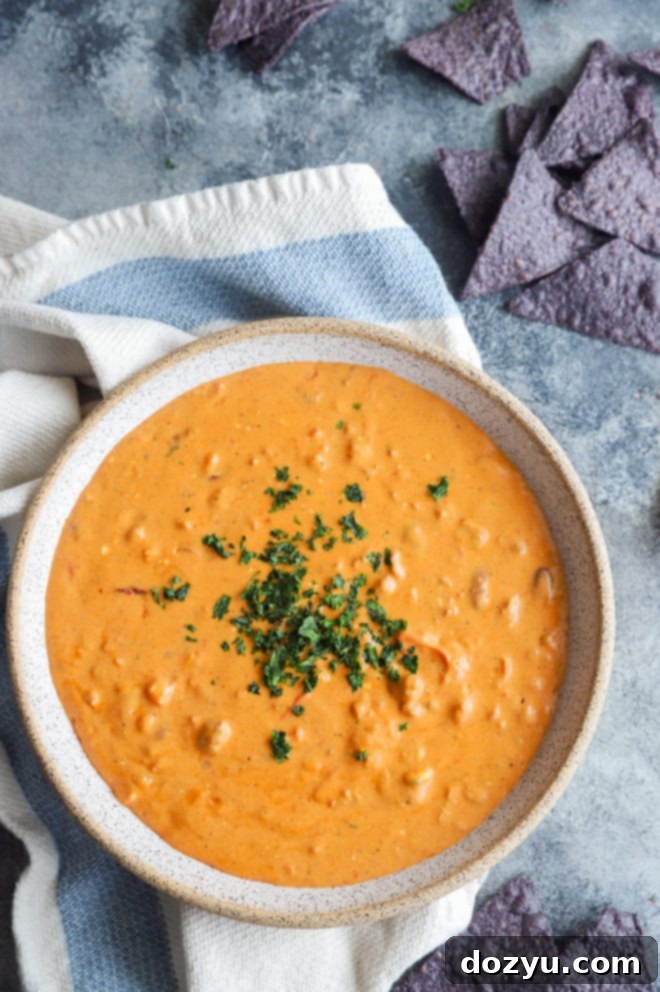 Overhead photo of chipotle chili queso