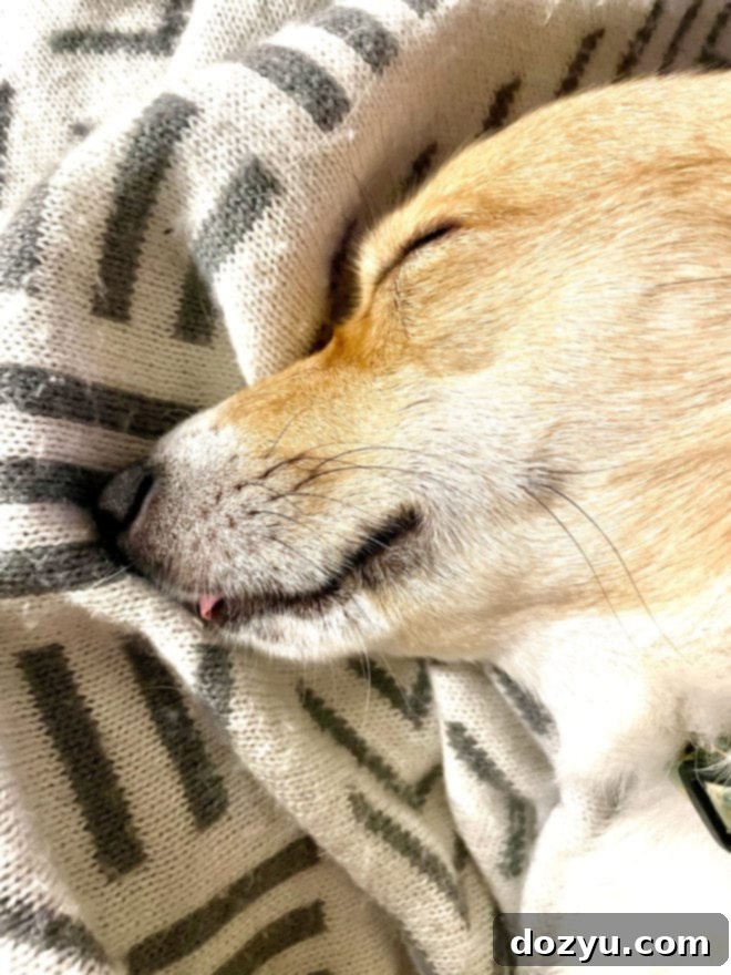 Smiling toddler playing outdoors, representing family joy amidst life's chaos.