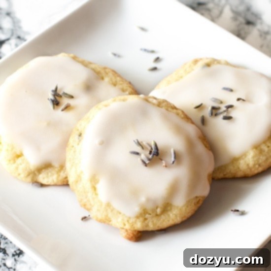 Grandma's Lavender Cookies arranged beautifully on a serving dish.
