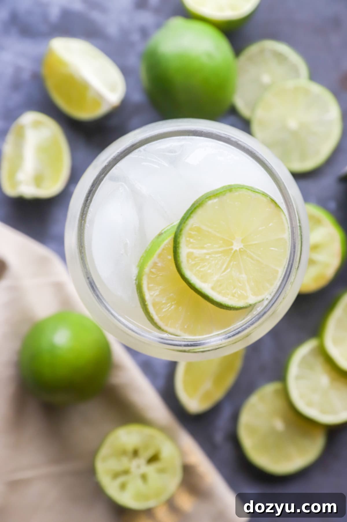 Margarita Mule 10 overhead image of margarita mexican mule