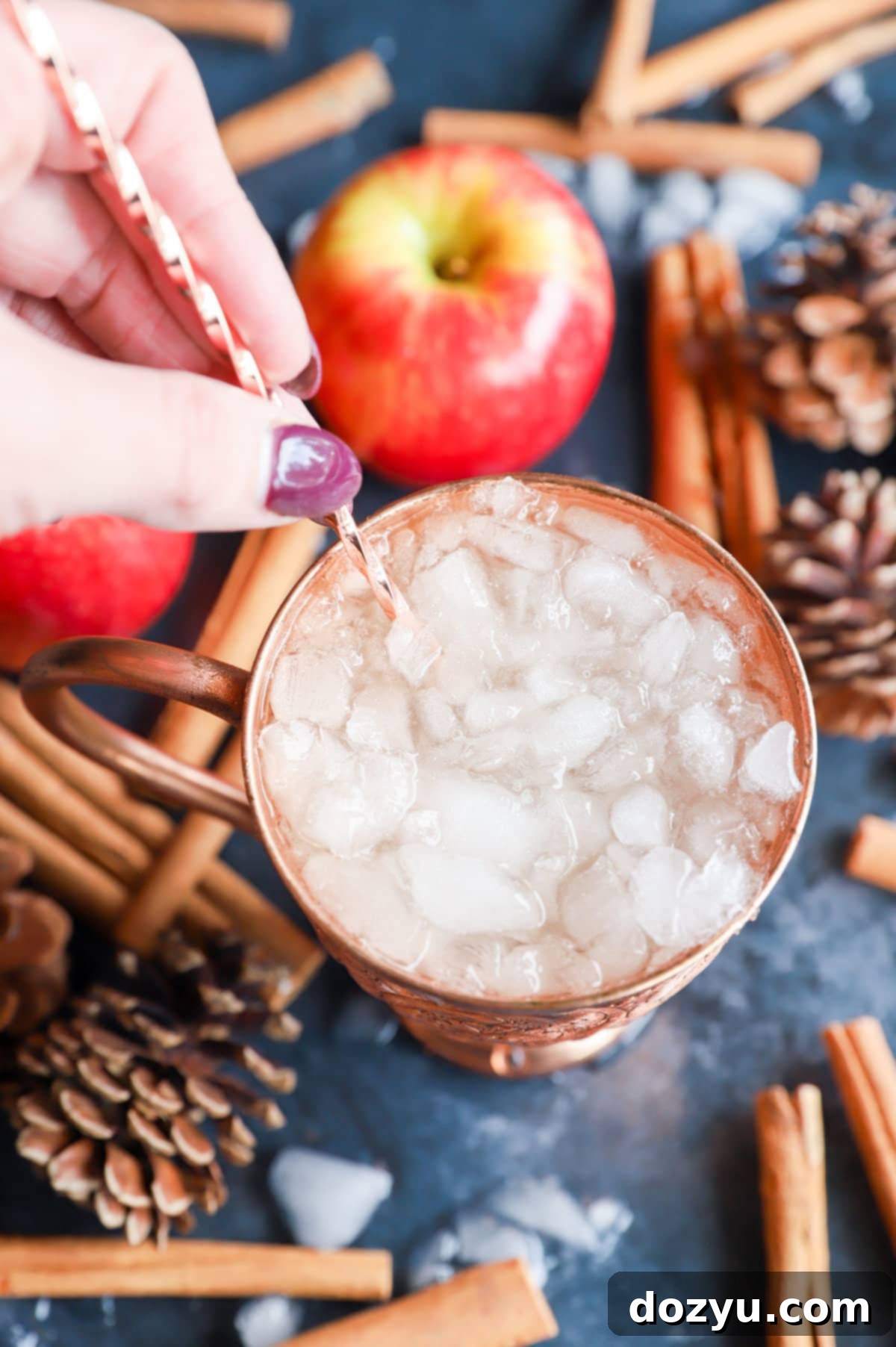 Autumn Spiced Apple Cider Moscow Mule 5 img 41348 4