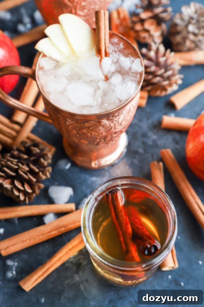 Autumn Spiced Apple Cider Moscow Mule 7 cinnamon simple syrup with moscow mule picture