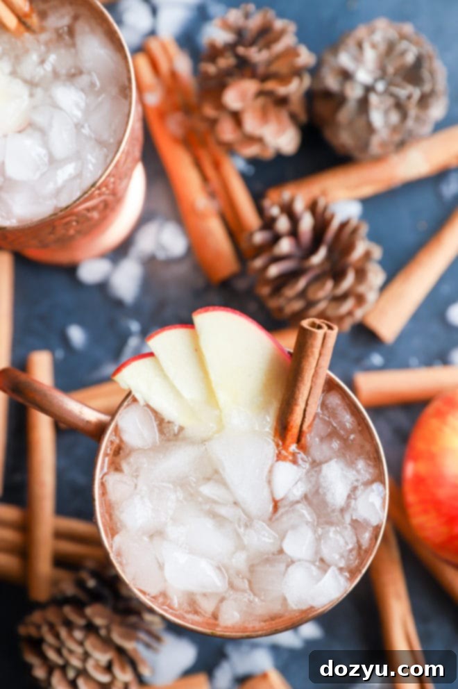 Autumn Spiced Apple Cider Moscow Mule 8 Overhead image of apple cider mule in mugs