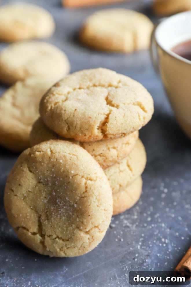 Ingredients for Chai Snickerdoodle Cookies