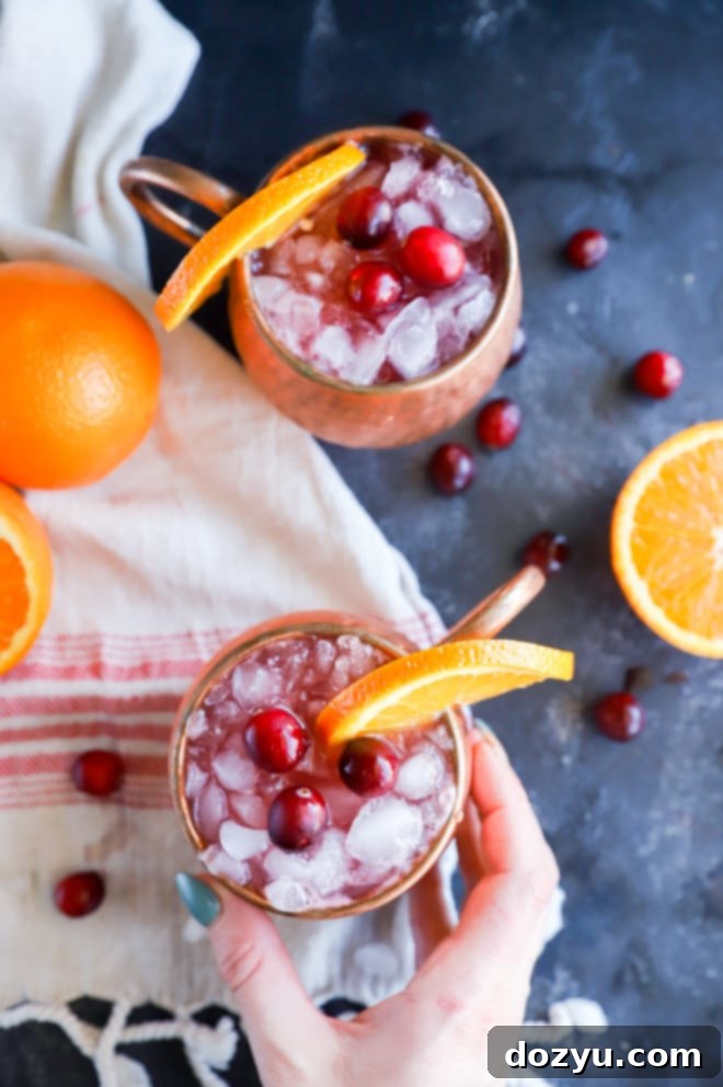 Crimson Citrus Mule 2 Hand holding a moscow mule mug with orange and cranberries, signifying a delicious Cranberry Orange Moscow Mule