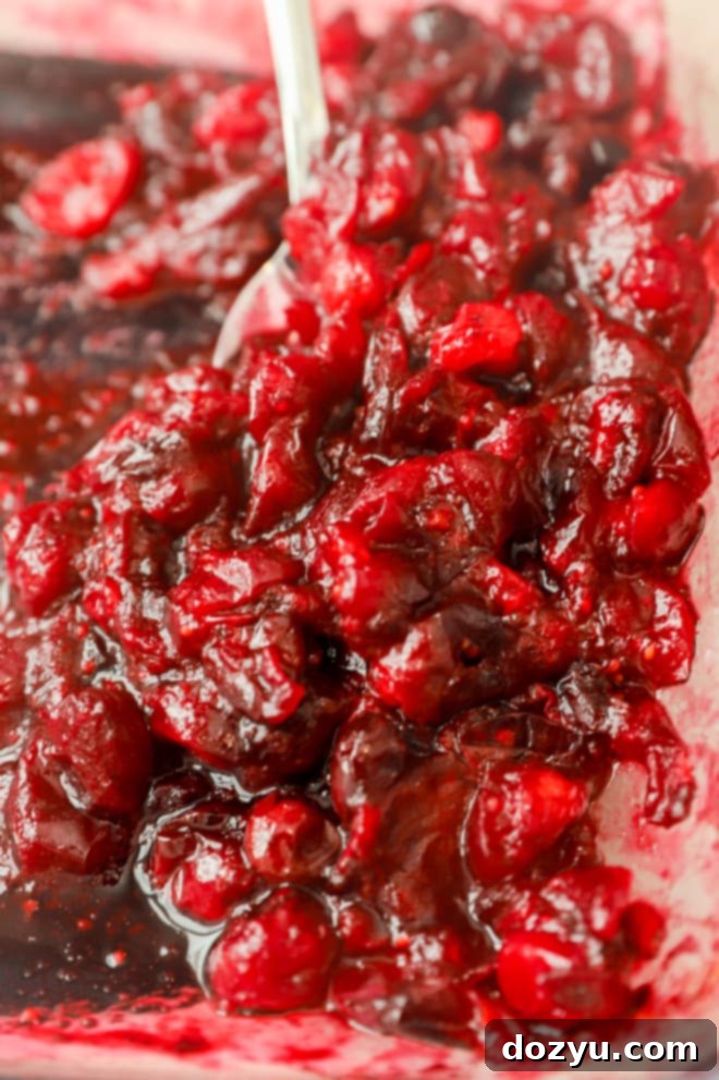 Air-Fried Bacon-Wrapped Pork Loin Perfection 7 Roasted red wine cranberries in dish picture