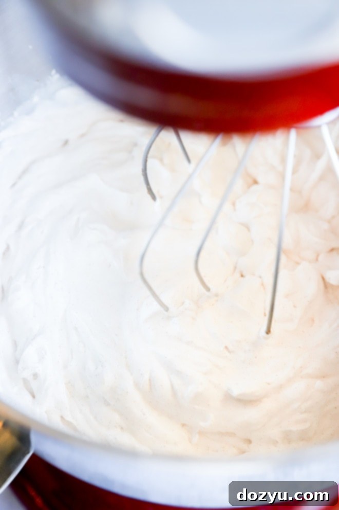 cinnamon whipped cream in stand mixer
