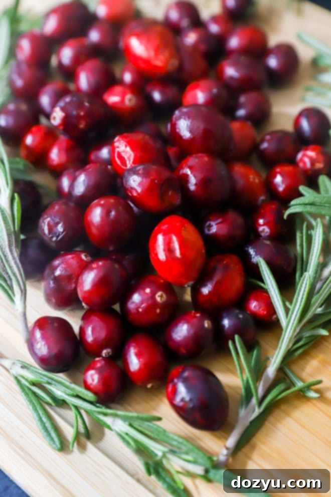 Fresh cranberries and rosemary sprigs, perfect for garnishing cocktails
