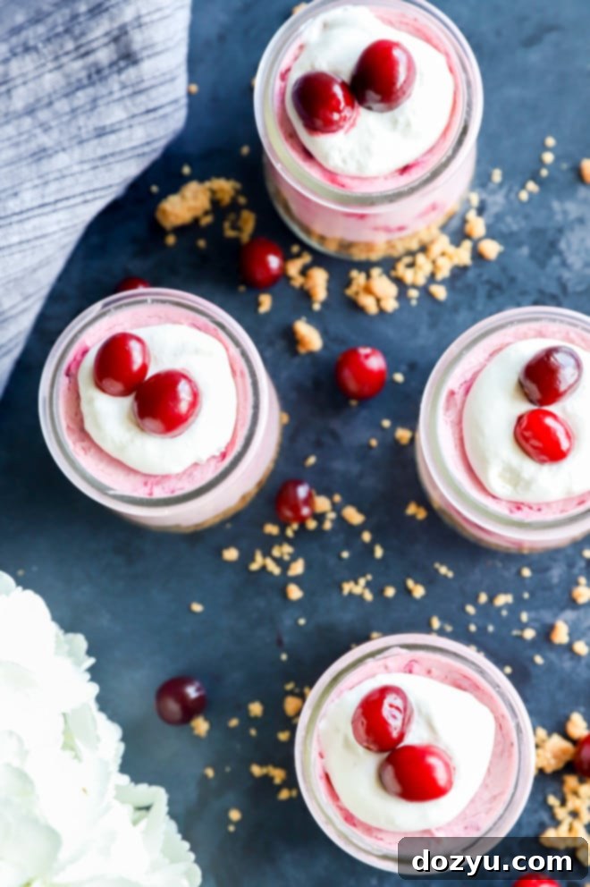 Overhead image of cranberry mousse in cups