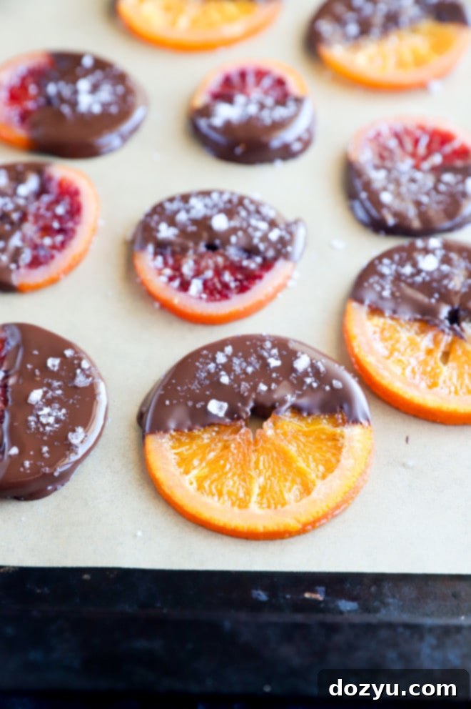 Close-up image of glistening orange slices partially dipped in rich dark chocolate
