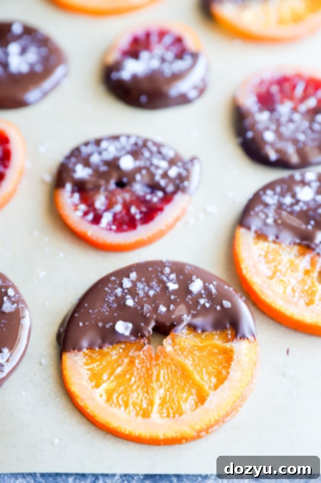 Close-up of vibrant citrus slices partially dipped in chocolate