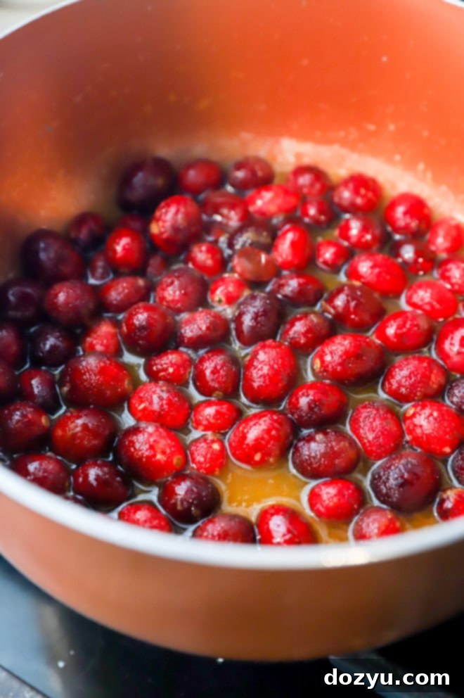 Fresh cranberries, orange zest, orange juice, and sugar simmering in a saucepan for cranberry orange relish.