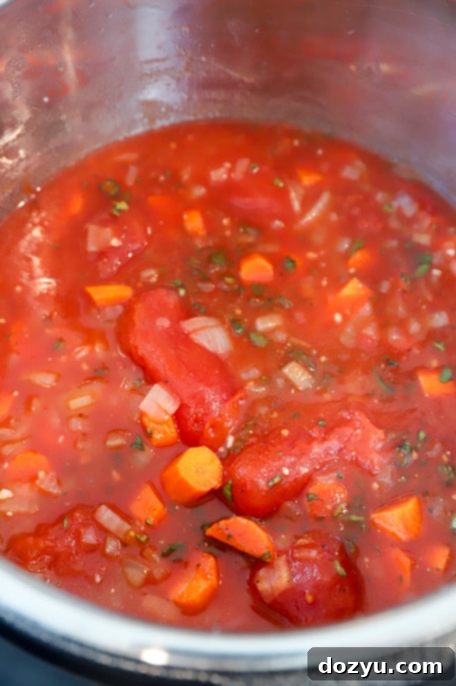 Easy Instant Pot Tomato Soup 5 Instant pot soup ingredients before cooking photo
