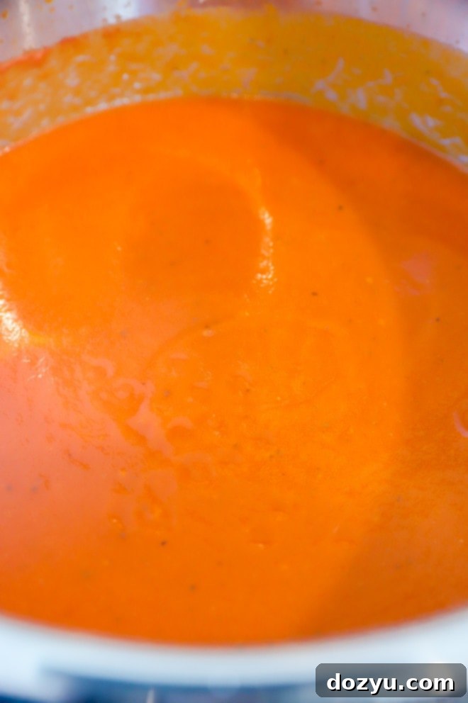 Easy Instant Pot Tomato Soup 6 Photo of blended soup in bowl
