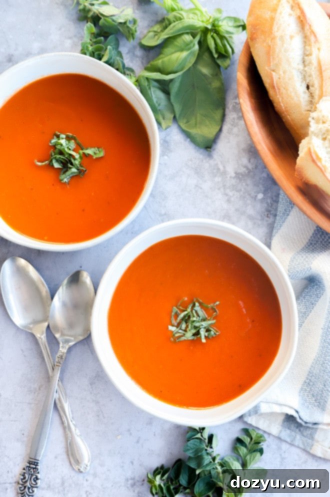 Easy Instant Pot Tomato Soup 7 Overhead image of instant pot tomato soup