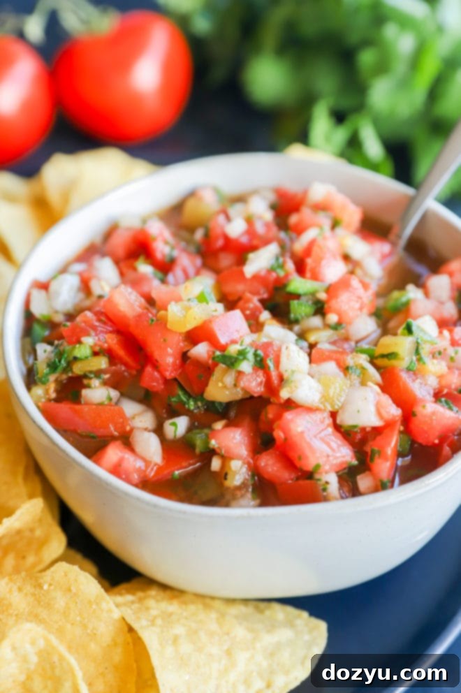 A bowl brimming with fresh tomatoes, jalapenos, onion, and cilantro, ingredients for a homemade chunky salsa.