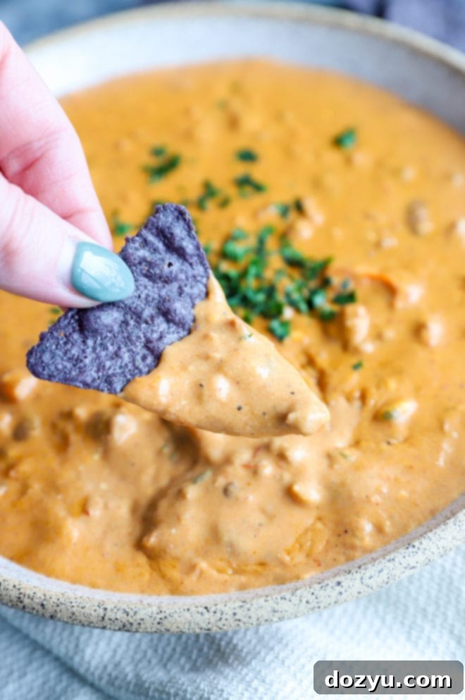 A tortilla chip being dipped into a luscious bowl of warm chipotle chili cheese dip, showcasing its creamy texture.