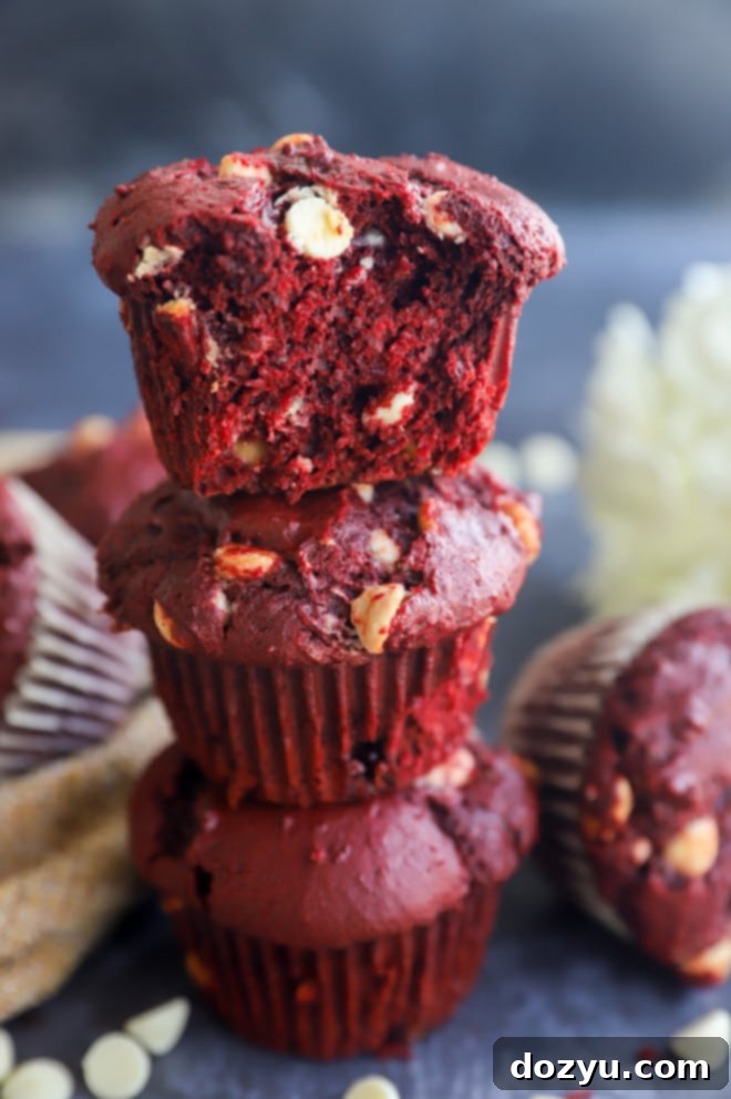 A bite taken out of a red velvet muffin, showing its moist interior and white chocolate chips.
