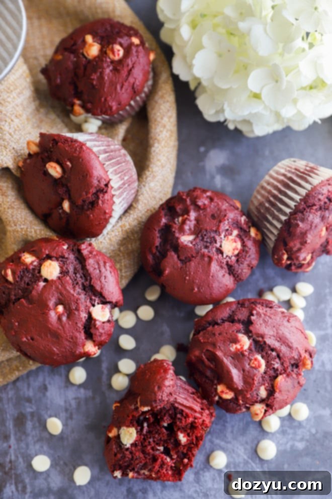 Two red velvet muffins with white chocolate chips on a rustic white plate, garnished with a few loose chocolate chips.
