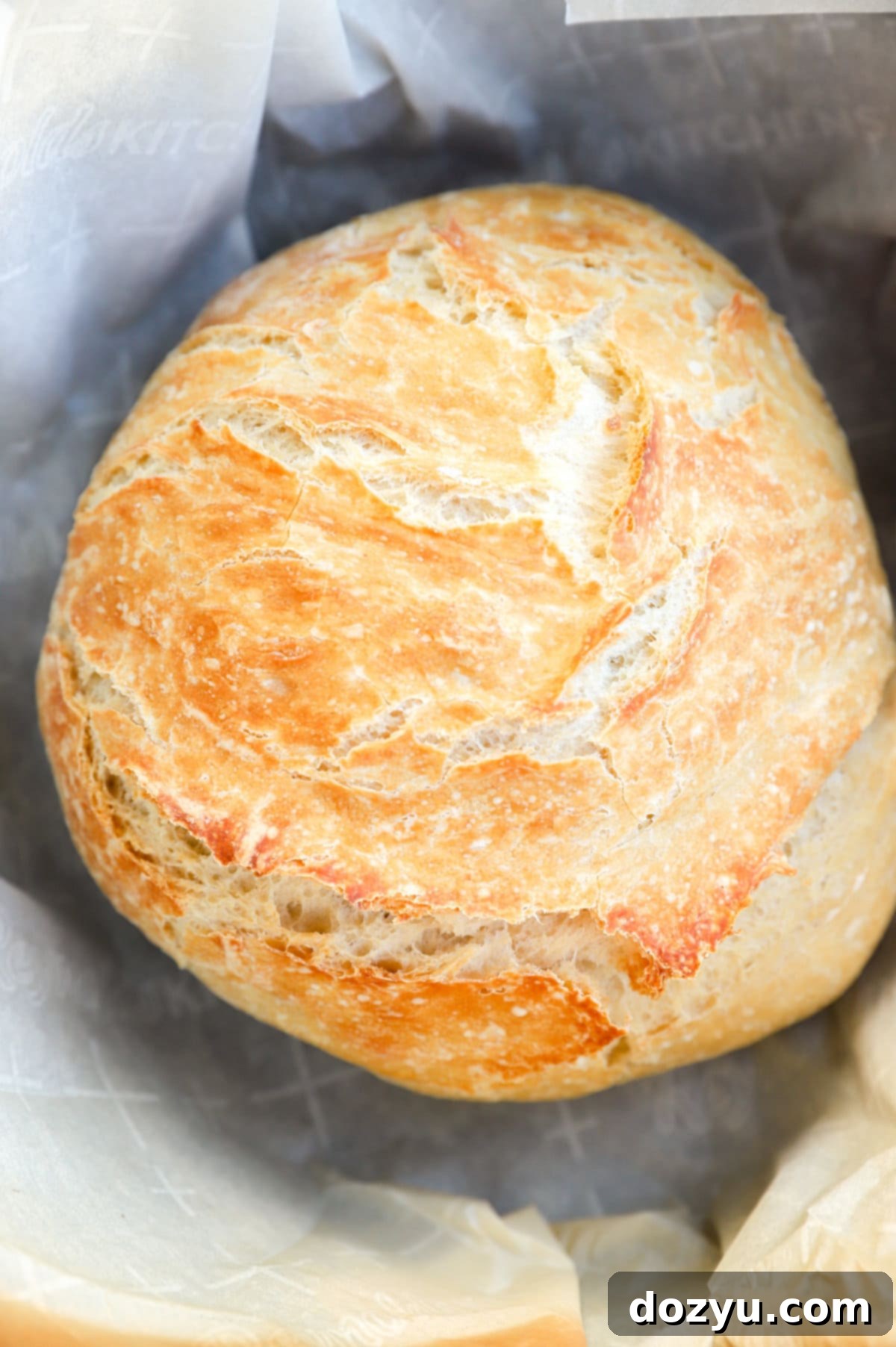 Bread in a dutch oven after baking picture