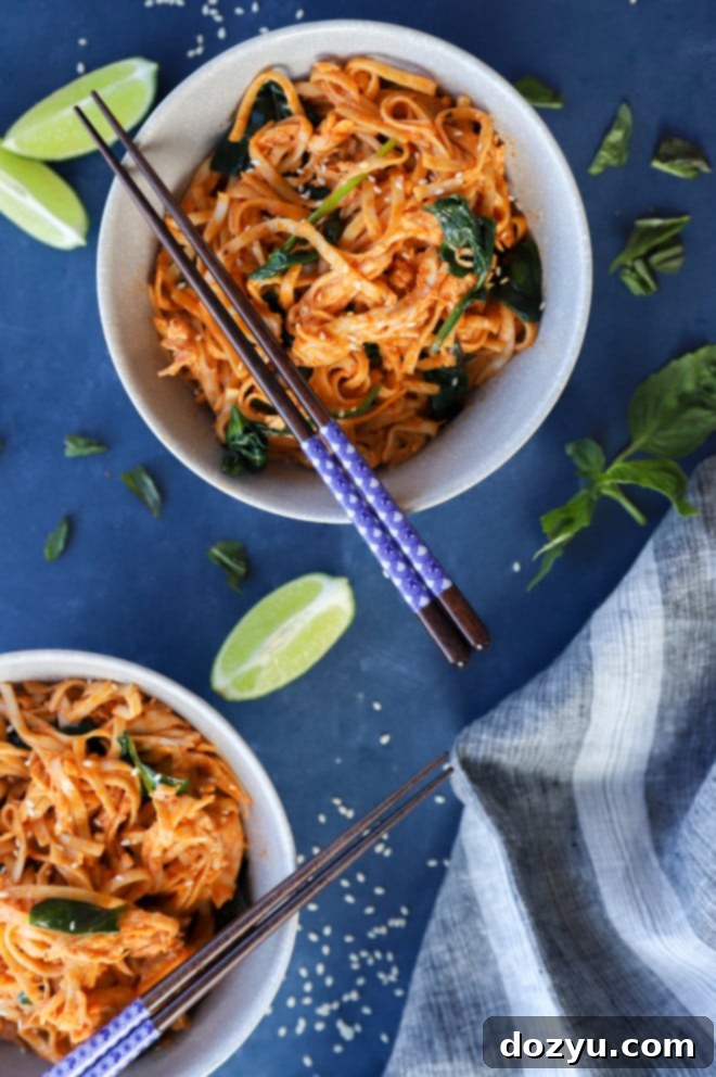 Overhead image of 15-minute Gochujang noodles recipe with chicken and spinach