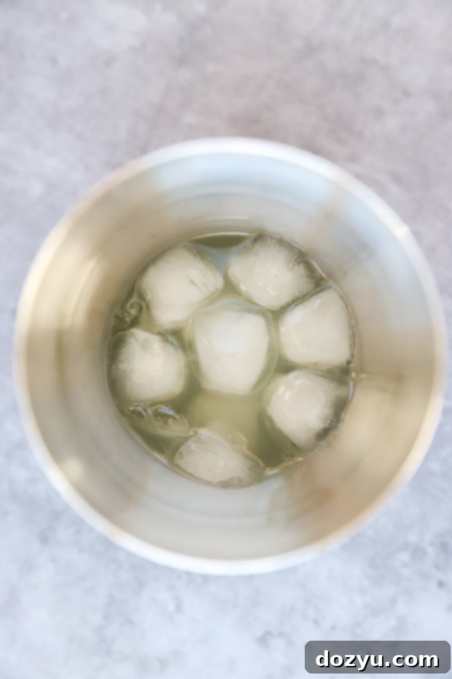 A bartender preparing a lemon vodka cocktail, with a cocktail shaker being filled with ice and ingredients.
