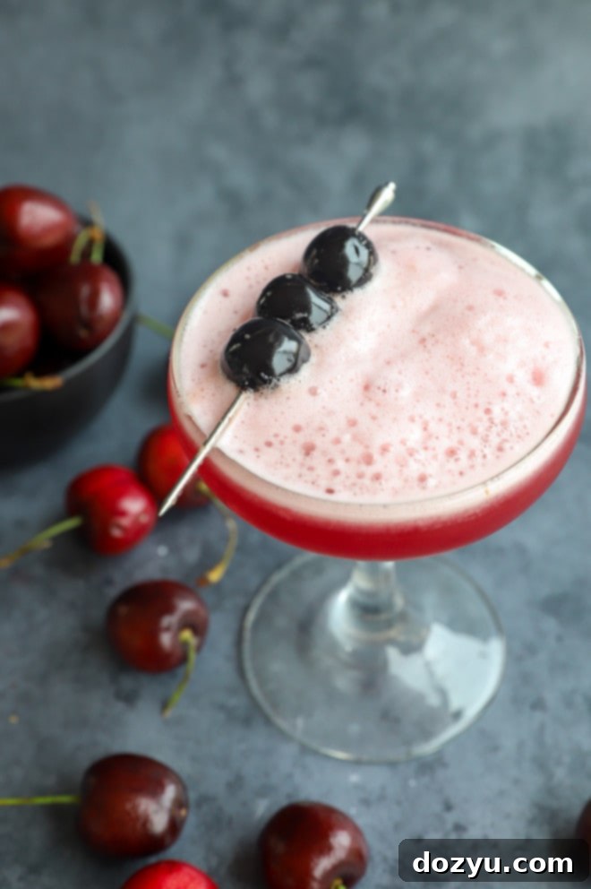 Velvet Cherry Vodka Sour 2 Cherries garnishing a cherry cocktail with vodka