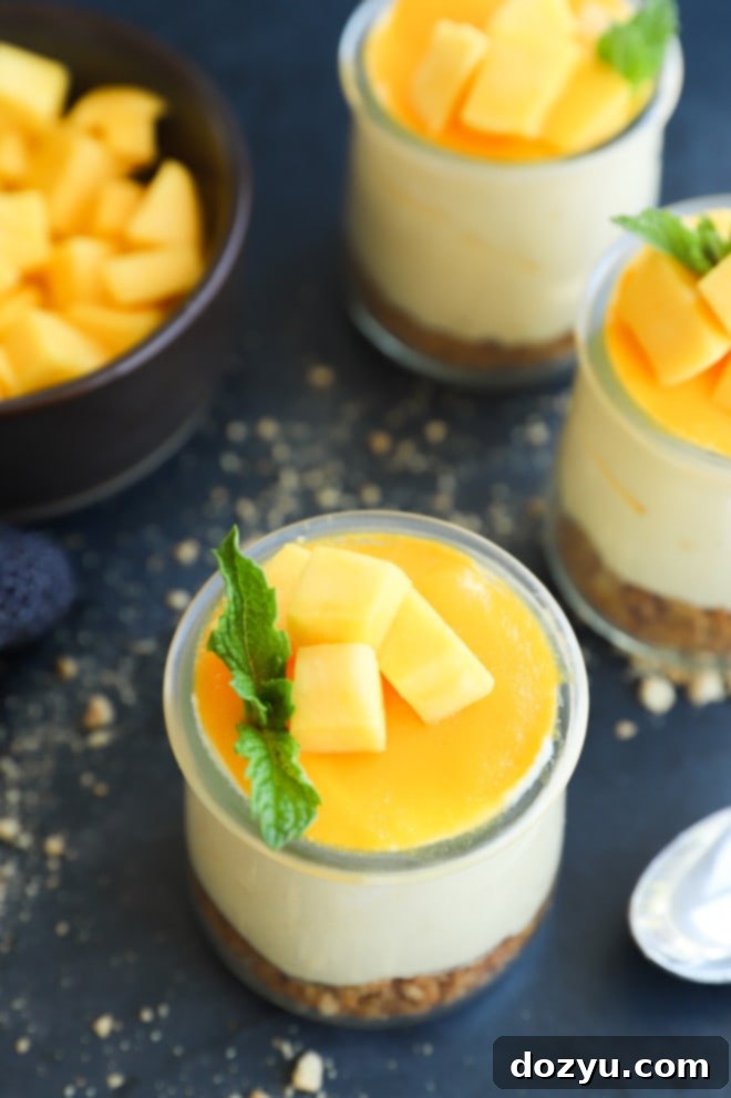 Sweet Mango Mousse with a Spicy Citrus Crunch 2 Mango dessert image in cups